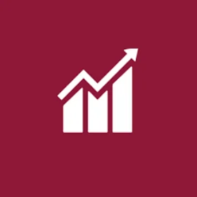 SDG 8
