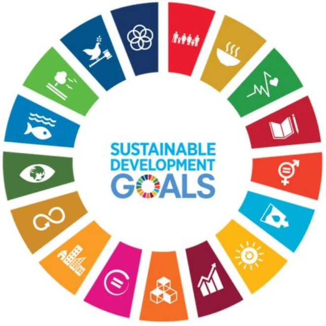 The seventeen Sustainable Development Goals